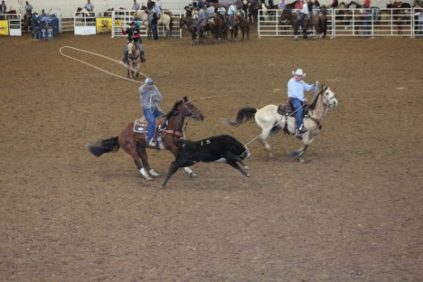 chtr-team-roping-2016-7